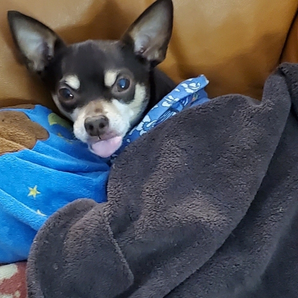 Meet your Posher, Alyse - Picture 16 of 16